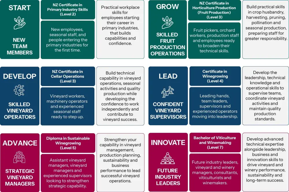 Viticulture training pathway Full 2235x1490px