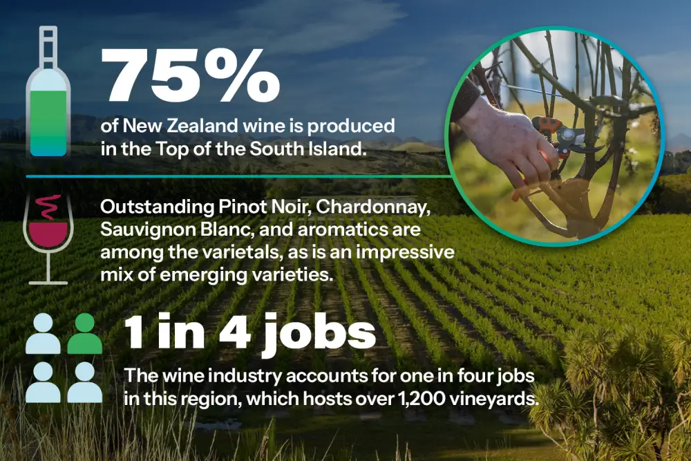 Viticulture & Winemaking Infographic 2 Column 1470x980 V2