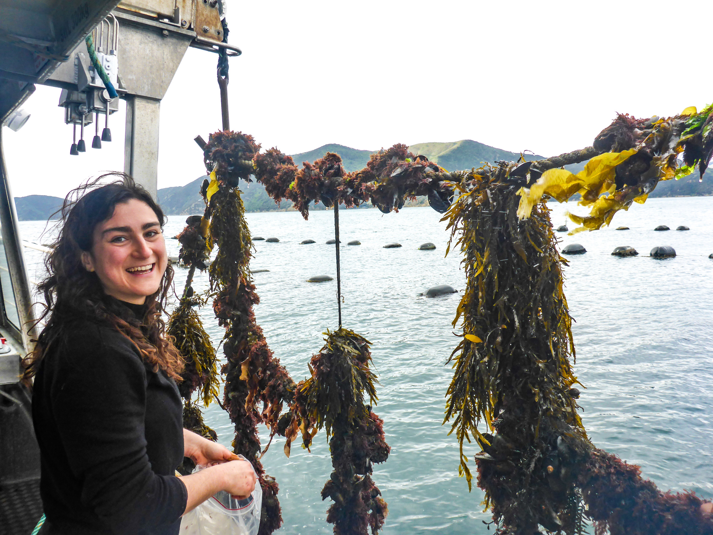 Rossella Nicolai Aquaculture